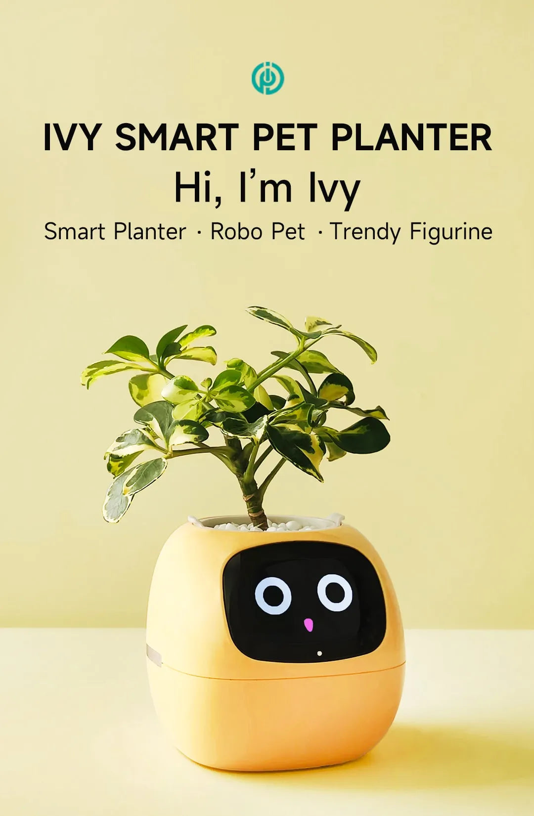 Smart Plant Ivy